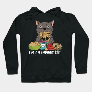 I'm An Indoor Cat Hoodie